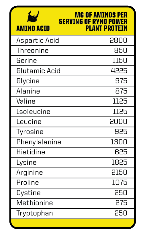 PROTEIN Premium PLANT-BASED Powder