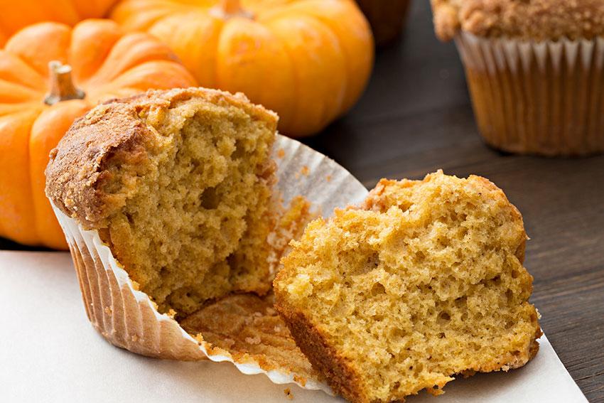 Pumpkin Chocolate Chip Protein Muffins